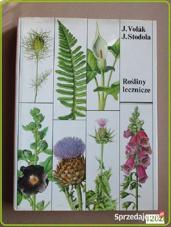 Rośliny lecznicze Volak Stodola rośliny zioła