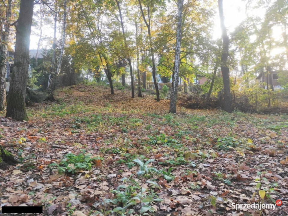 Łomianki Dąbrowa Leśna działka 1500m2 budowlana sprzedam