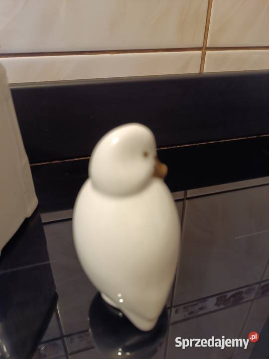 Hollohaza kaczuszka Świętochłowice