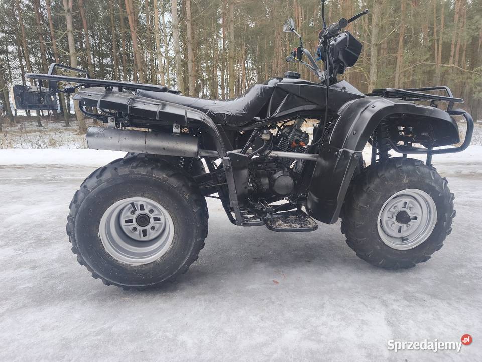Quad 250 Zajerejestrowany Dobryń-Kolonia