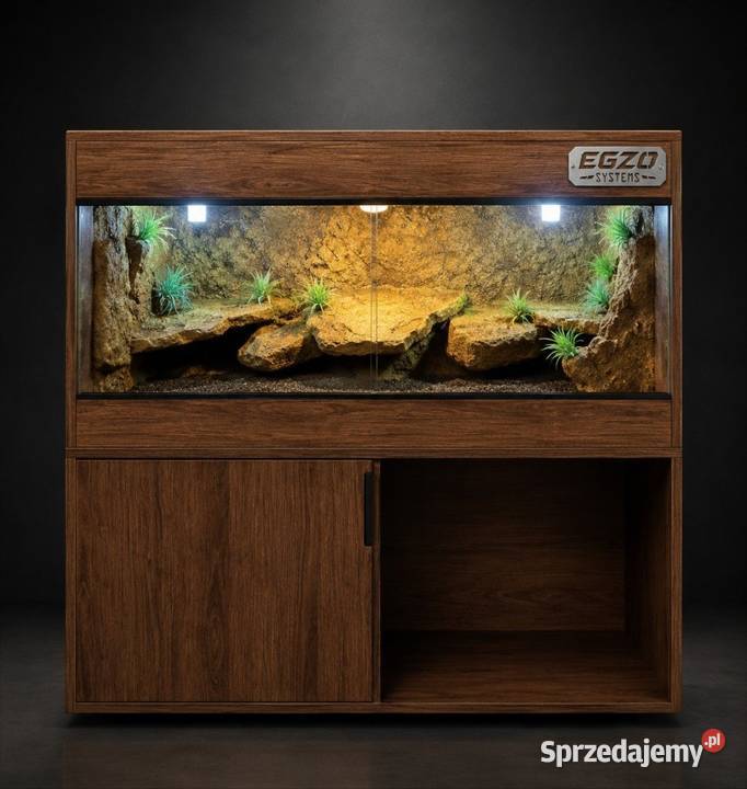 Terrarium pustynne gekona lamparciego żółwia Bielsko-Biała