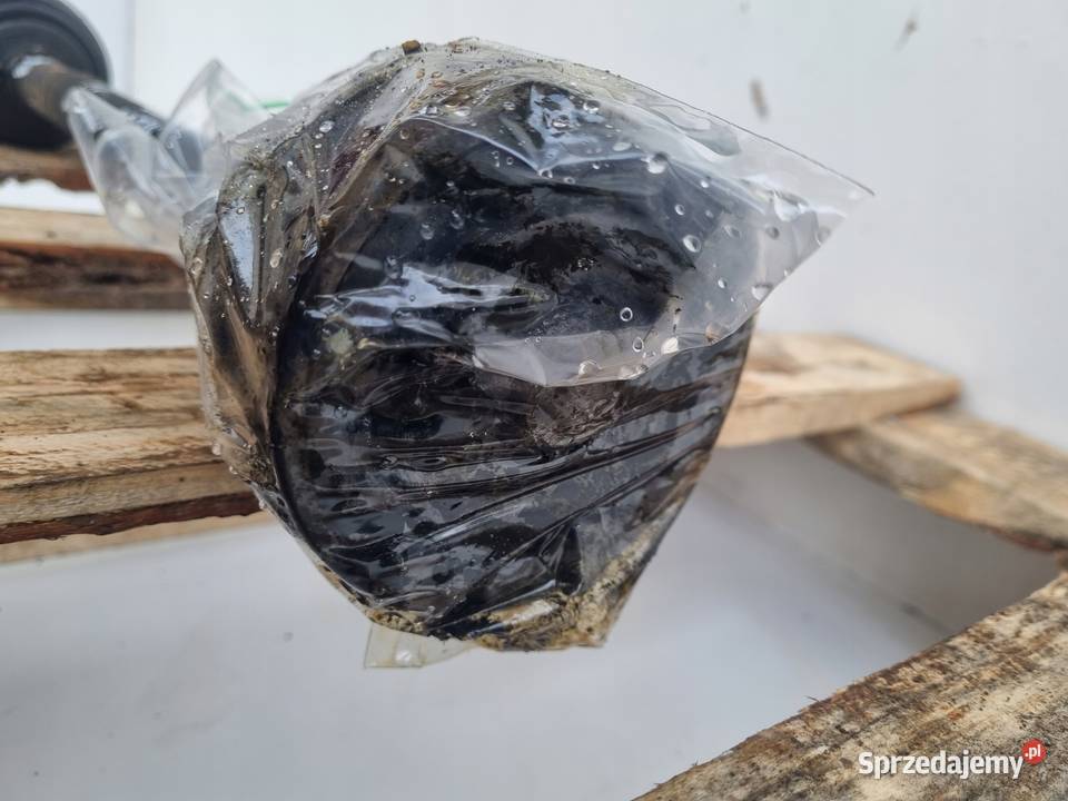 Skoda Octavia II 20 TSI 4x4 PRAWA TYLNA PÓŁOŚ osobowe lubelskie