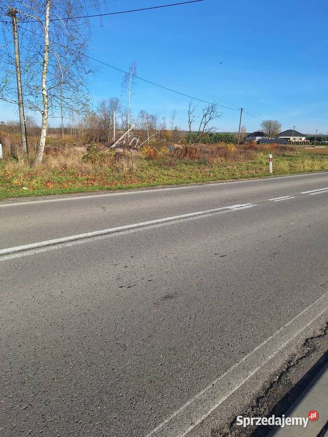 Budzyń Przytyki sprzedam działkę lubelskie sprzedam
