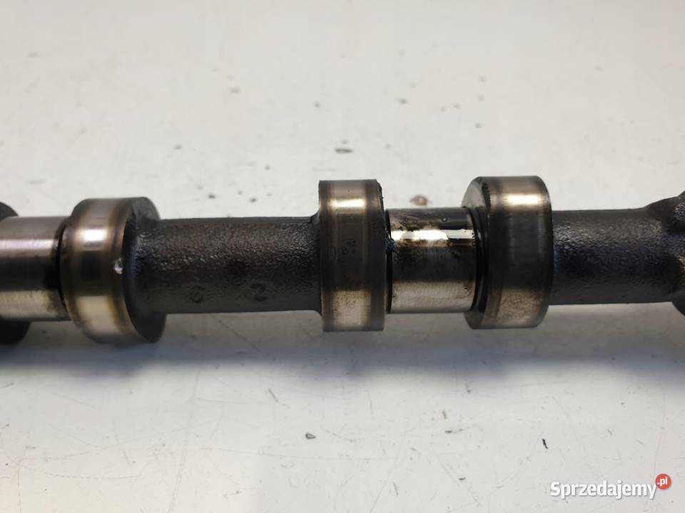 WAŁEK ROZRZĄDU Lancia Phedra 22 JTD ssący osobowe Chełm