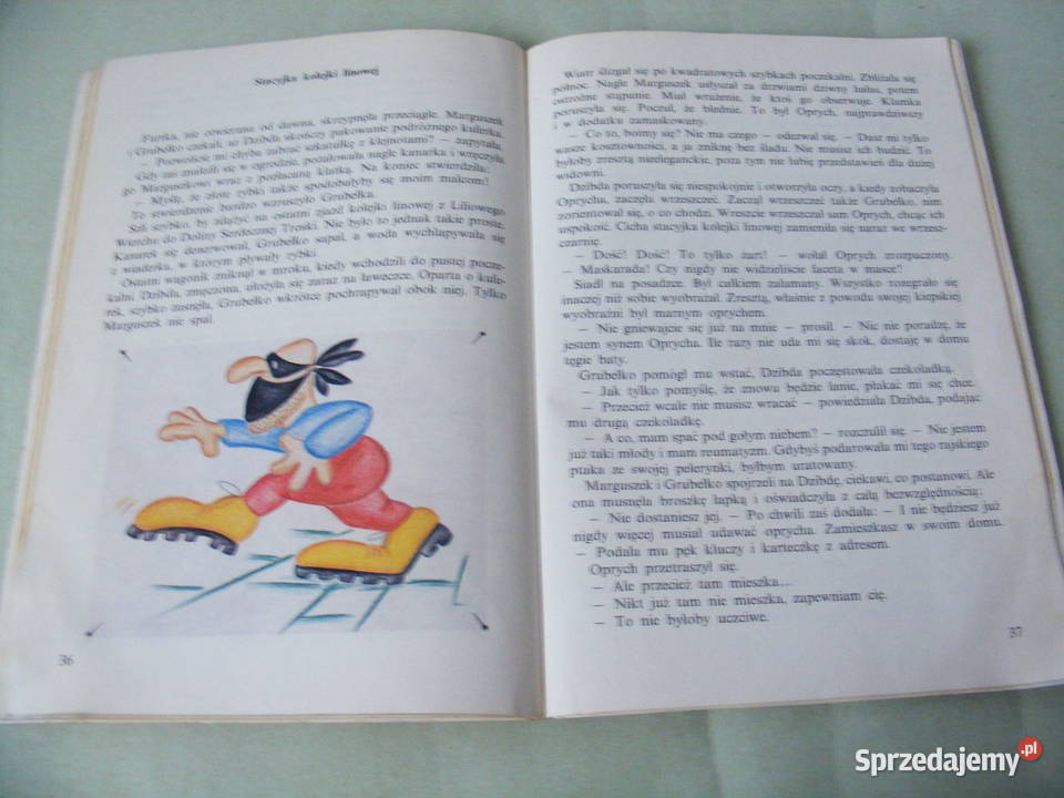 Robin Hood Wielcy rycerze Fiołkową Polaną miękka dolnośląskie Oborniki Śląskie