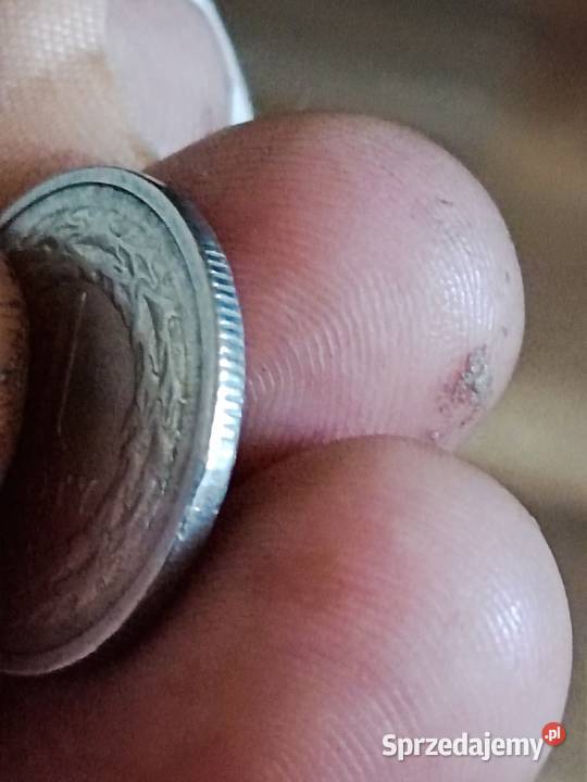 Sprzedam 1 zloty 1991 r Antyki, Sztuka, Kolekcje Chełm