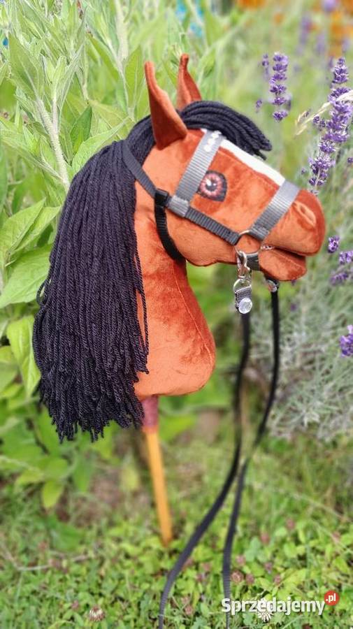 Konik hobby horse
