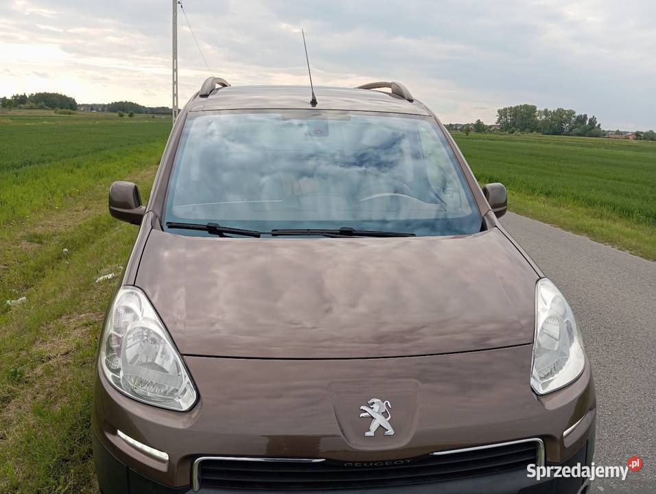 Peugeot partner teepe komputer pokładowy podkarpackie