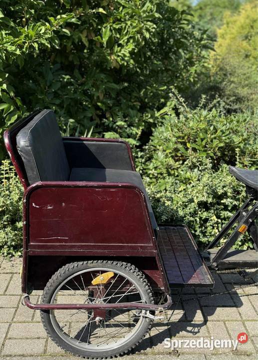 Riksza rower spalinowy silnik solex sprawny lubelskie Chełm