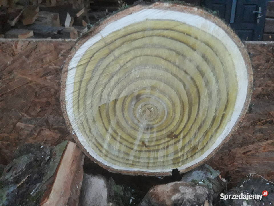 Usługi Ogrodnicze Kraśnik