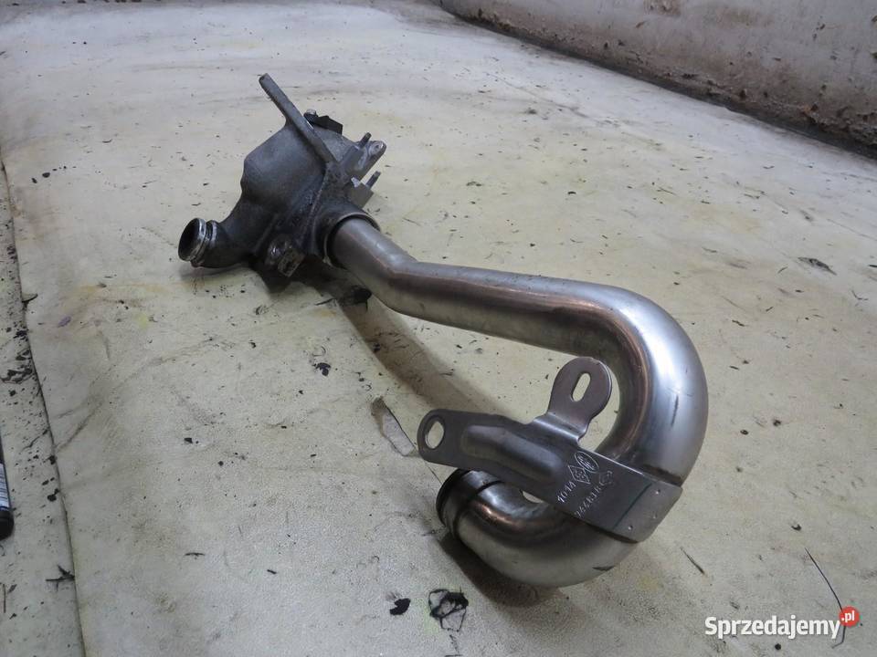 RURA EGR QASHQAI J11 15 DCI 170741B lubelskie