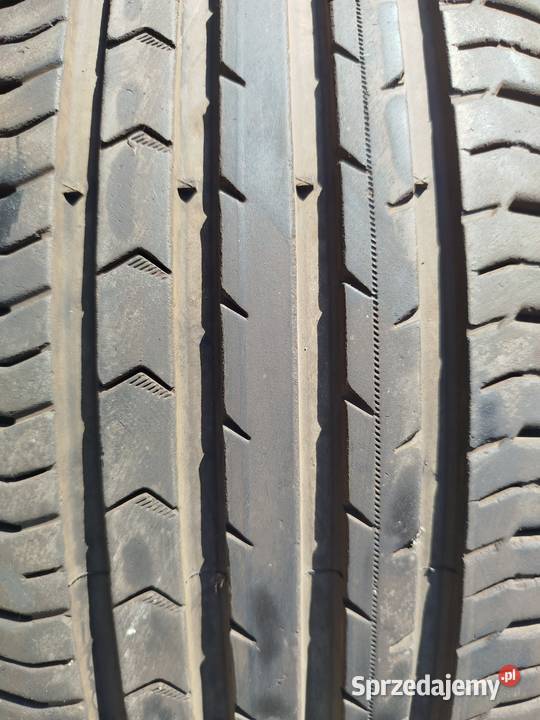 2056016 Continental Lato Gniewkowo