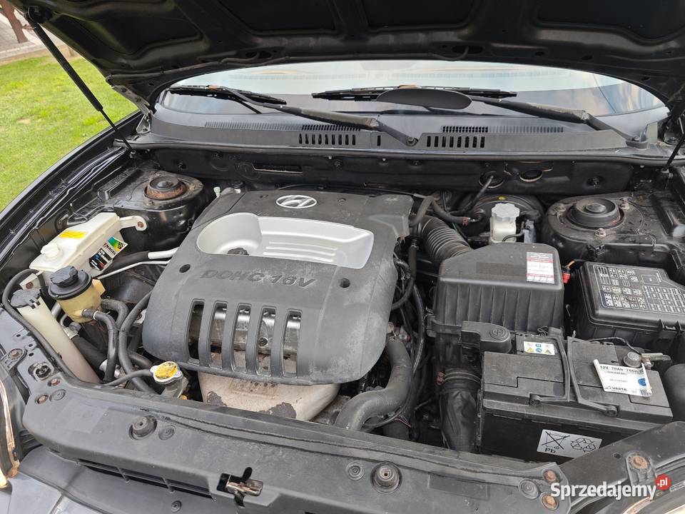 Hyundai Santa Fe 20 LPG 2004 lakier metallic Płock