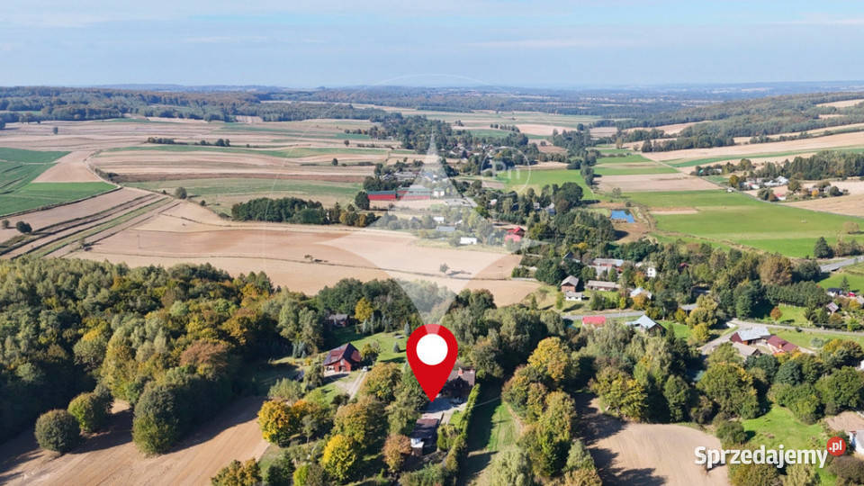 Przytulny dom z potencjałem i ogromną działką garaż Drewniki