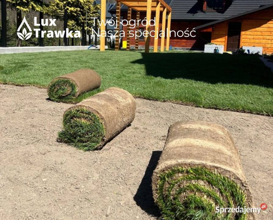 Trawa w rolce Trawa z rolki Sezonowana 1218 Ogród małopolskie