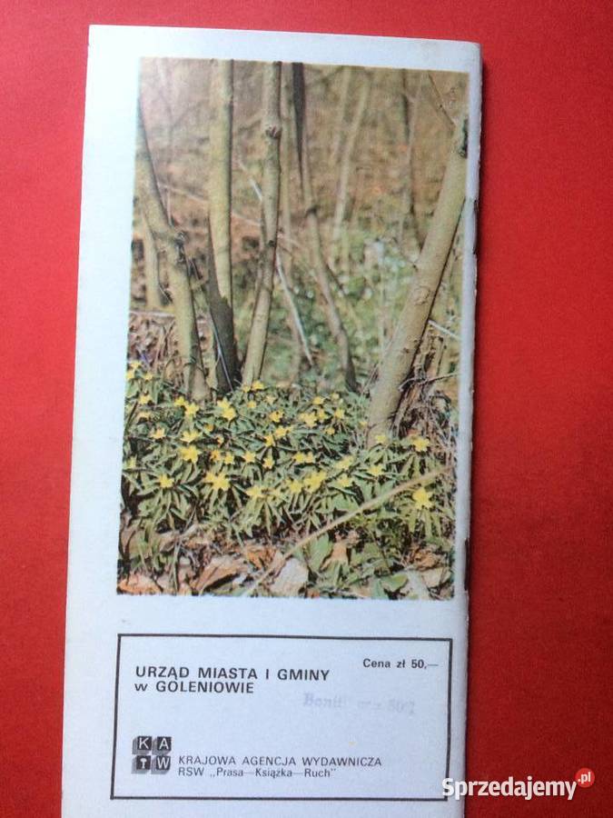 848 Goleniów I Szczecin