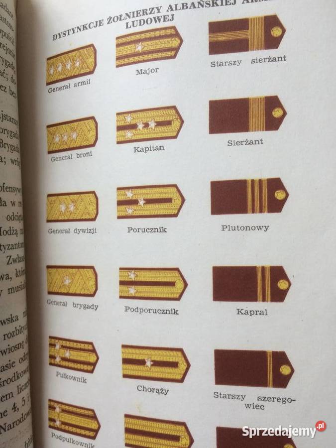 3257 Armie Ludowe Szczecin