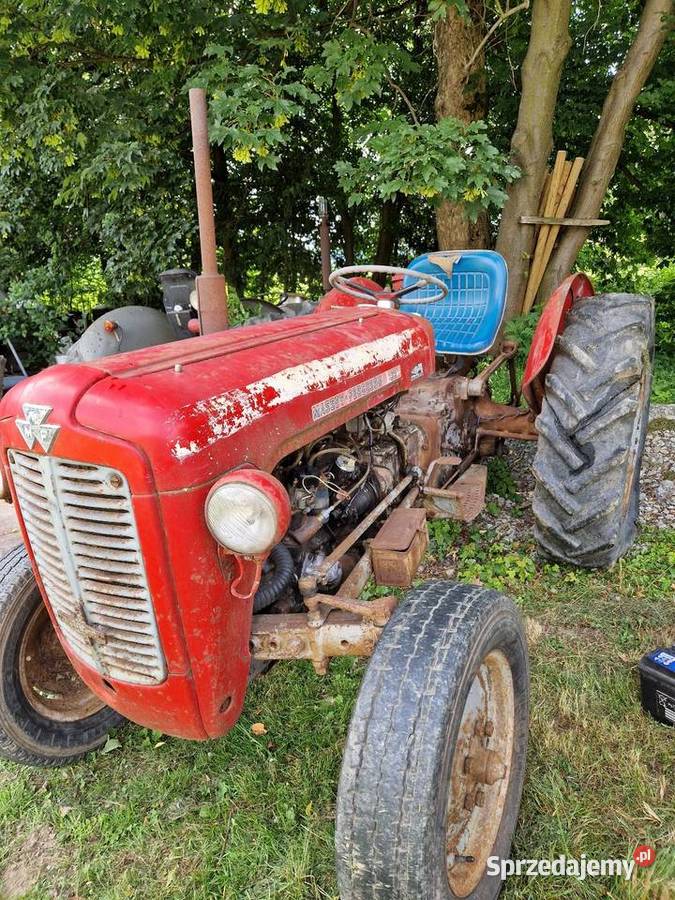 Massey ferguson 35 ursus sprzedam
