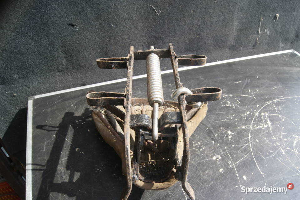 SIEDZENIE TYŁ ZUNDAPP TRIUMPH DKW NSU BSA ILO Siedzenia Motoryzacja Rybnik