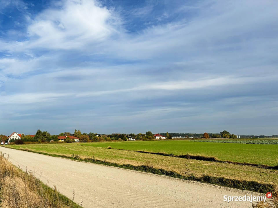 sprzedaży działki 2980m Czołowo