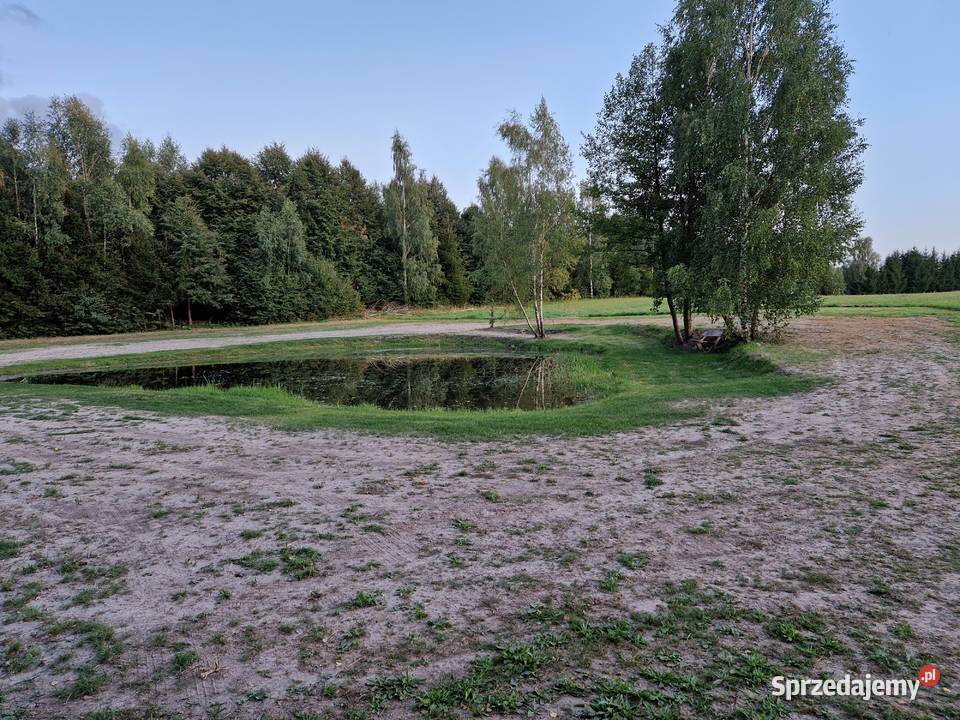 Urokliwa działka rekreacyjna ze stawem Nieruchomości Lubomino