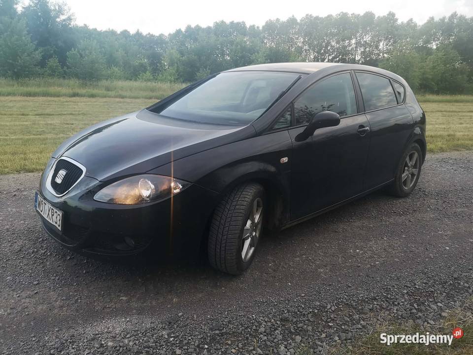 Seat Leon 19TDI 400000km Całowanie