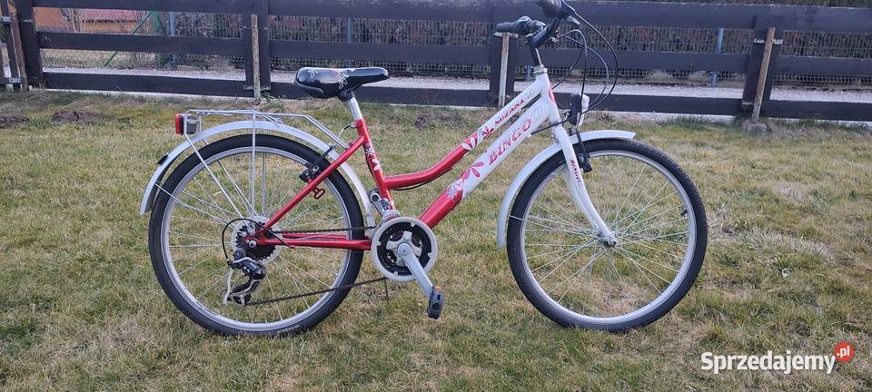 Rower dziecięcy Bingo Suzana 24 Zielonki