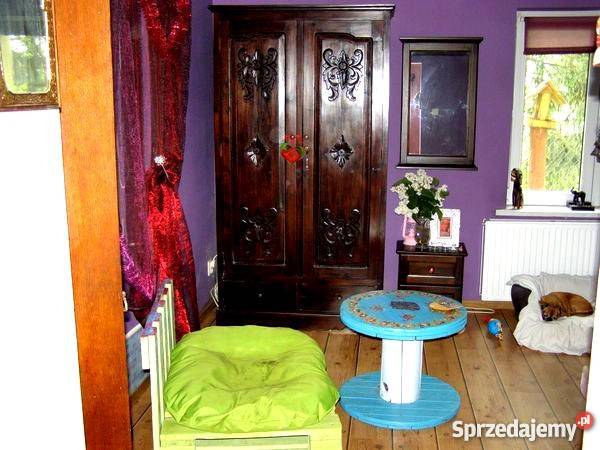 DOM Z KLIMATEM NA PIĘKNEJ DZIAŁCE OKOLICA mazowieckie Staroźreby sprzedam