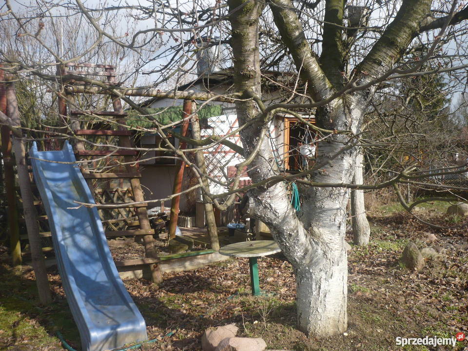 Działka ogrodowa w ROD Zorza Legnica prąd