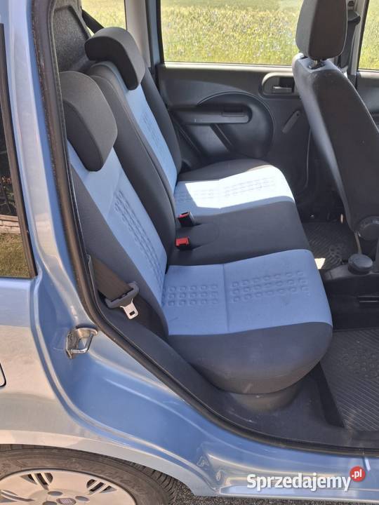 Fiat Panda 2009r 12 Klima bezwypadkowy Syców