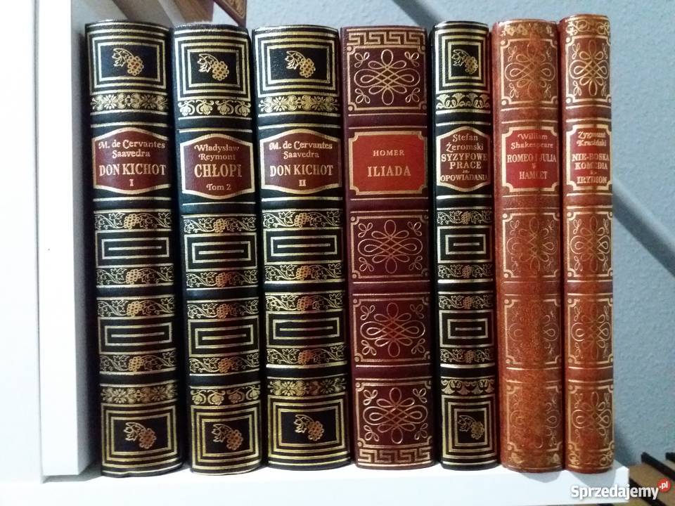 Piękna kolekcja literatury polskiej i światowej Lublin
