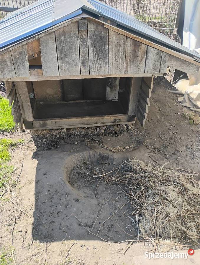 sprzedam budę dużego psa Dobre Miasto