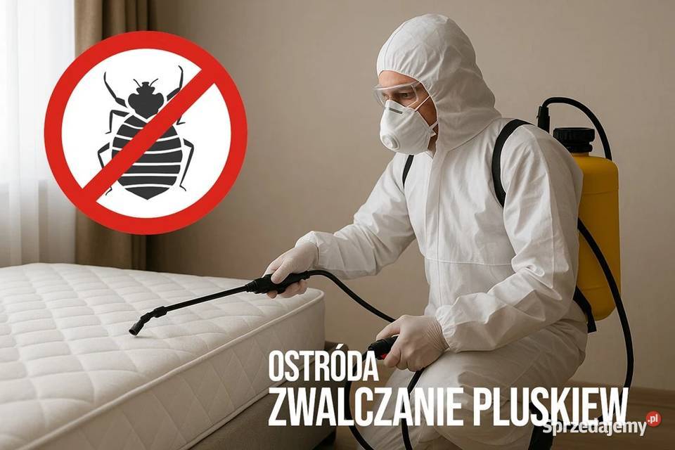 Zwalczanie pluskiew Ostróda Odpluskwianie
