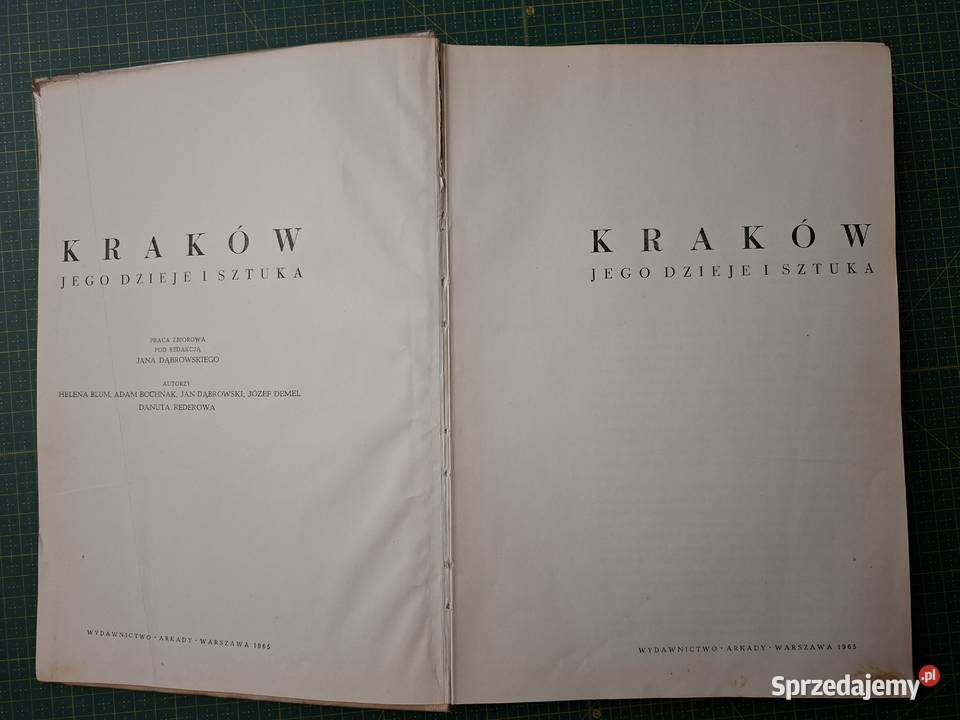 Kraków jego dzieje i sztuka Arkady
