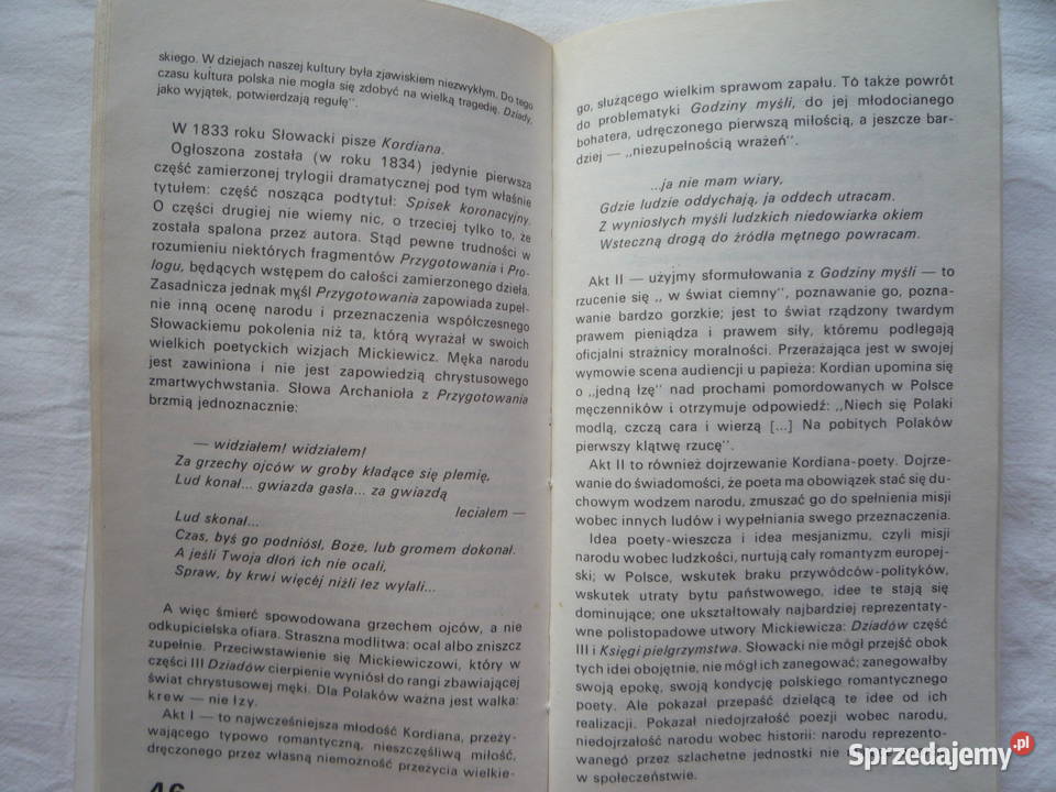 Adam Mickiewicz Juliusz Słowacki Autor Maria Rok wydania 1985 Książki naukowe i popularnonaukowe Szczecin
