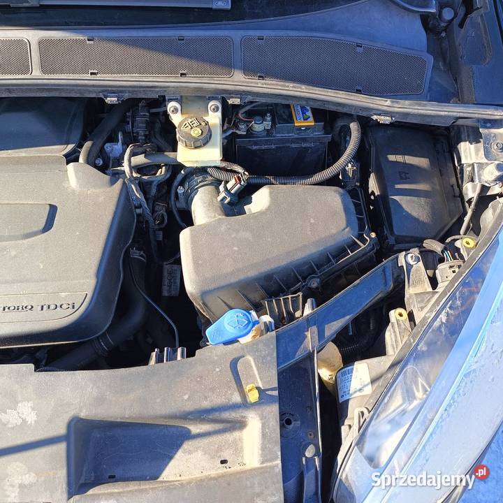 Ford s Koronowo