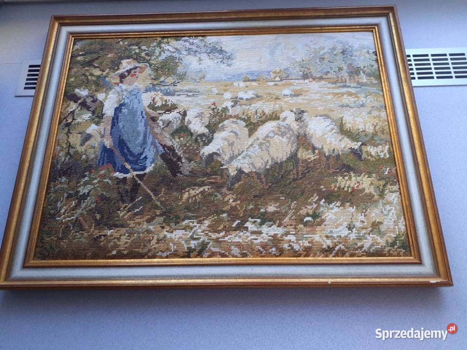 Pasterka z owcami Kraków