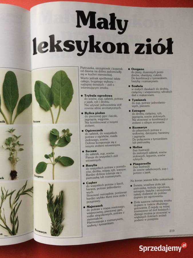 2708 Bon Appetit zachodniopomorskie Szczecin sprzedam