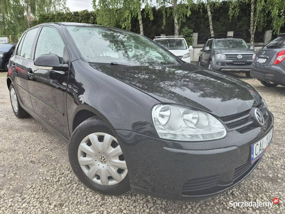 Volkswagen Golf Zadbany V 20032008 Rok produkcji 2005
