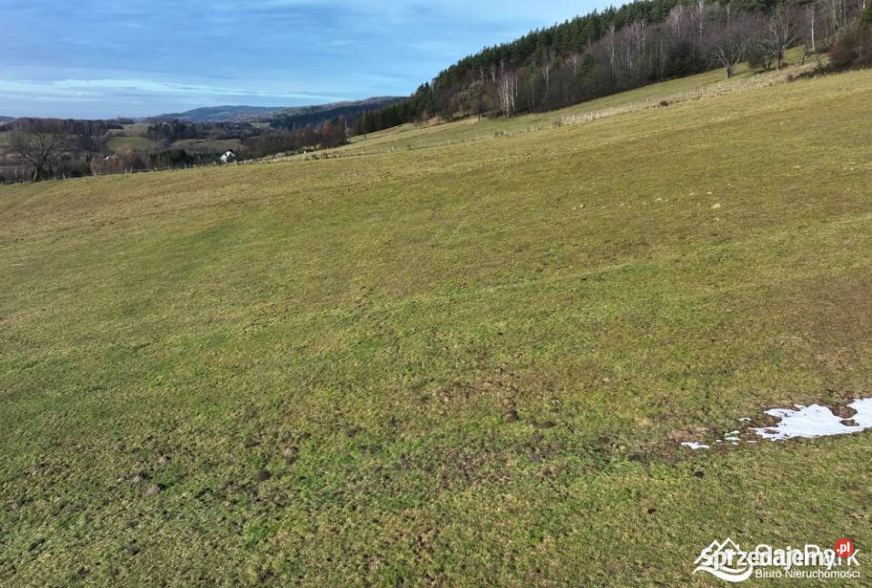 Działka 26273m2 Ustrzyki Dolne