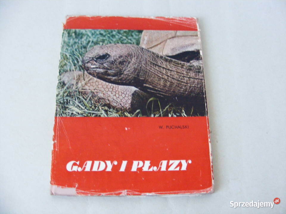 Gady i płazy Album Puchalski Ssaki Leksykon dolnośląskie Oborniki Śląskie