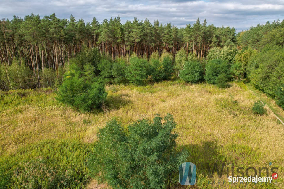 sprzedaży działki Nadma Wrzosowa 21132m2 budowlana Sprzedaż