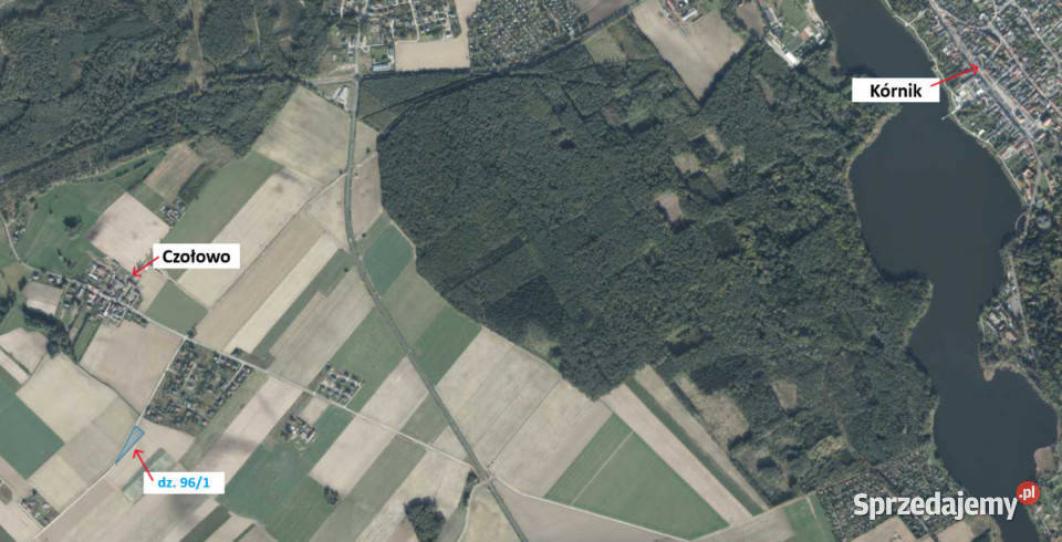sprzedaży działki 2980m Czołowo gaz Sprzedaż