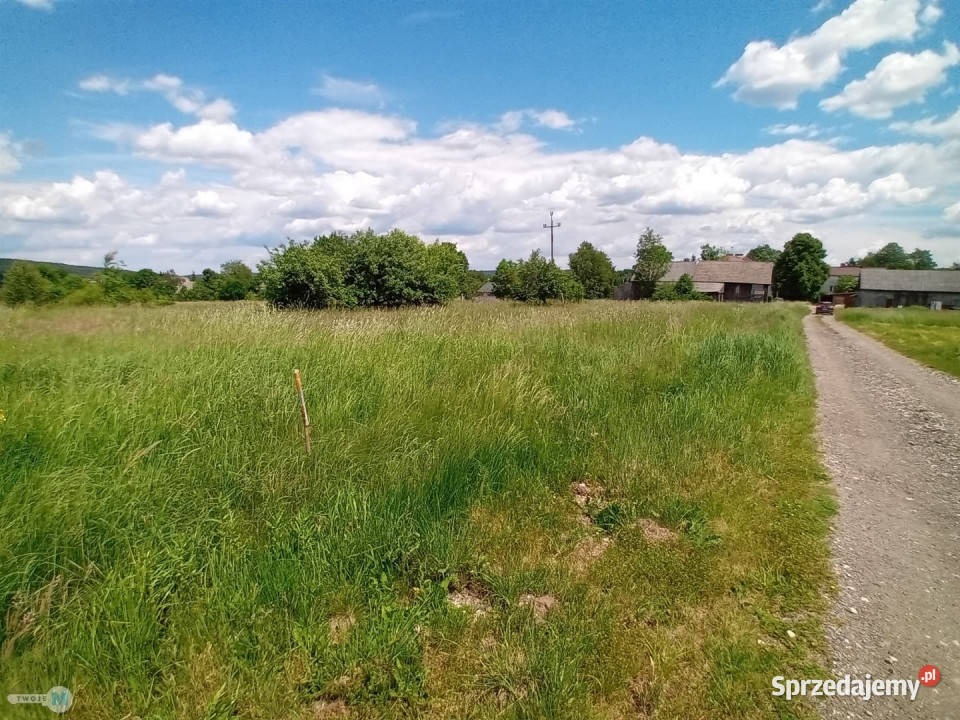 Działka Zagnańsk 820m2 utwardzona