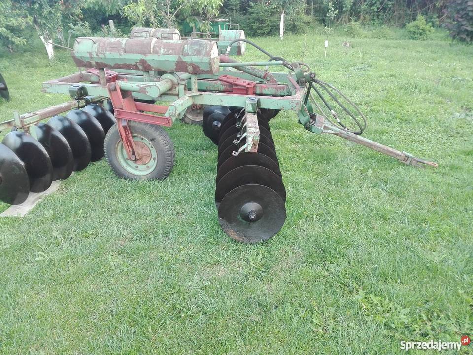 Talerzowka polska 3m