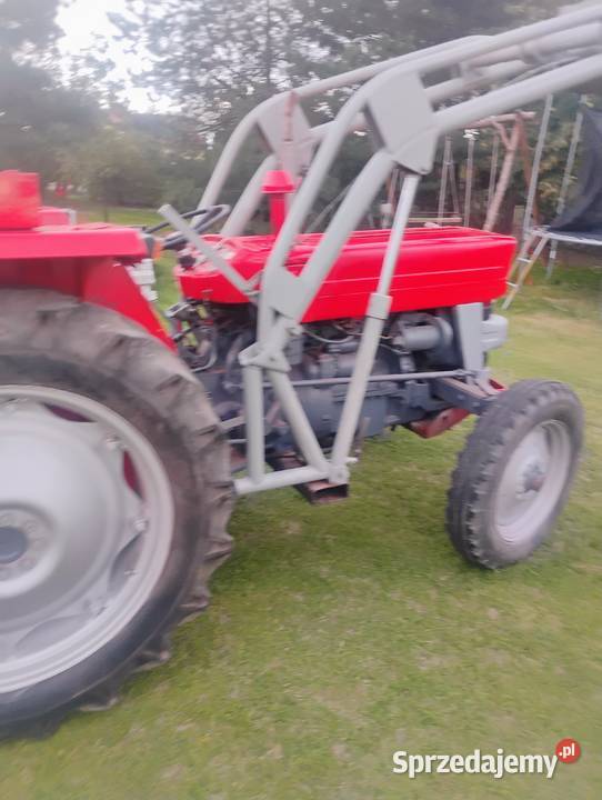Sprzedam MF 135 mazowieckie Sienno