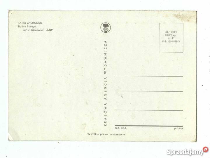 TATRY ZACHODNIE DOLINA BIAŁEGO POCZTÓWKA Krynki sprzedam