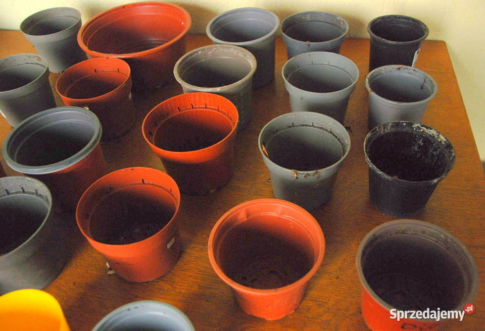 23 doniczka doniczki produkcyjne do rozsady śr9 Warszawa