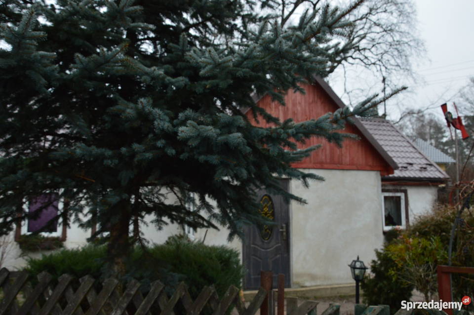 Sprzedam mały domek w sercu Borów Dolnośląskich do remontu dolnośląskie Parowa