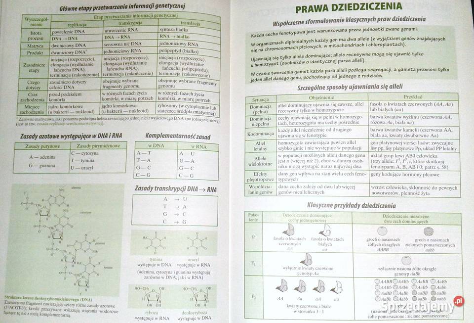 Biologia Małe tablice W Mizerski B Bednarczuk lubelskie